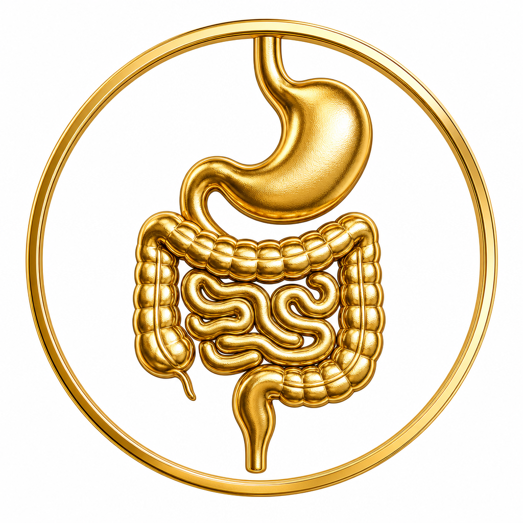 Gastrointestinal system icon